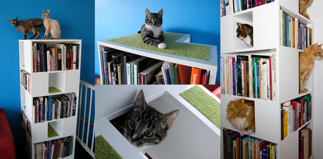 boekenkast kat